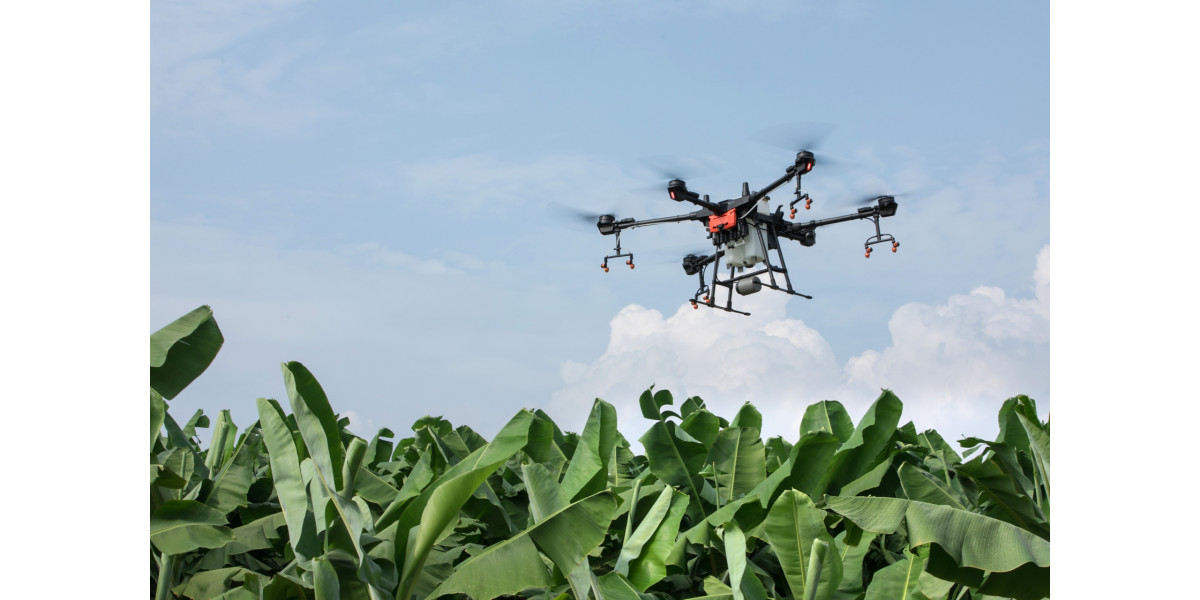 Drones pulverizadores são realidade no campo: DJI e Allcomp 